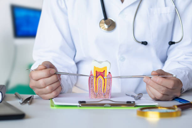Best Tooth Infection Emergency Dentist  in Marion, OH